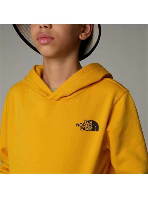 teen redbox regular p/o THE NORTH FACE | NF0A89H956P156P